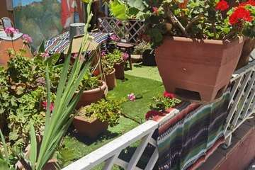  Original celebración del Día de Canarias en El Ejido de Telde/TA.